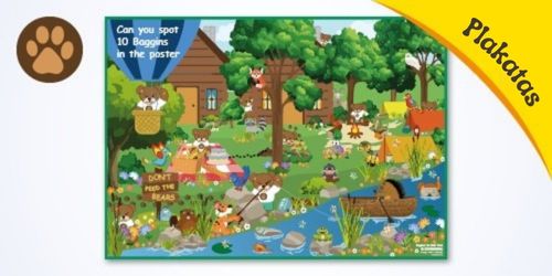 LT-explore-Baggins-the-Bear-images-poster