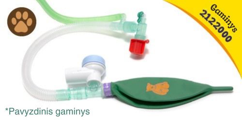 LT-explore-Baggins-the-Bear-images-product