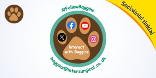 LT-explore-Baggins-the-Bear-images-social-media