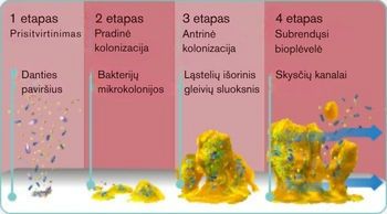 LT-explore-image-oral-care-vap-facts-1