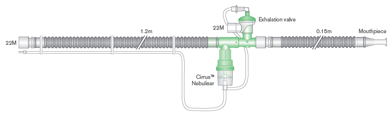 IPPB Flextube™ kvėpavimo sistema, skirta Bird®